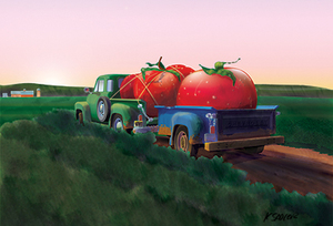 Kevin-Sadler Illustration