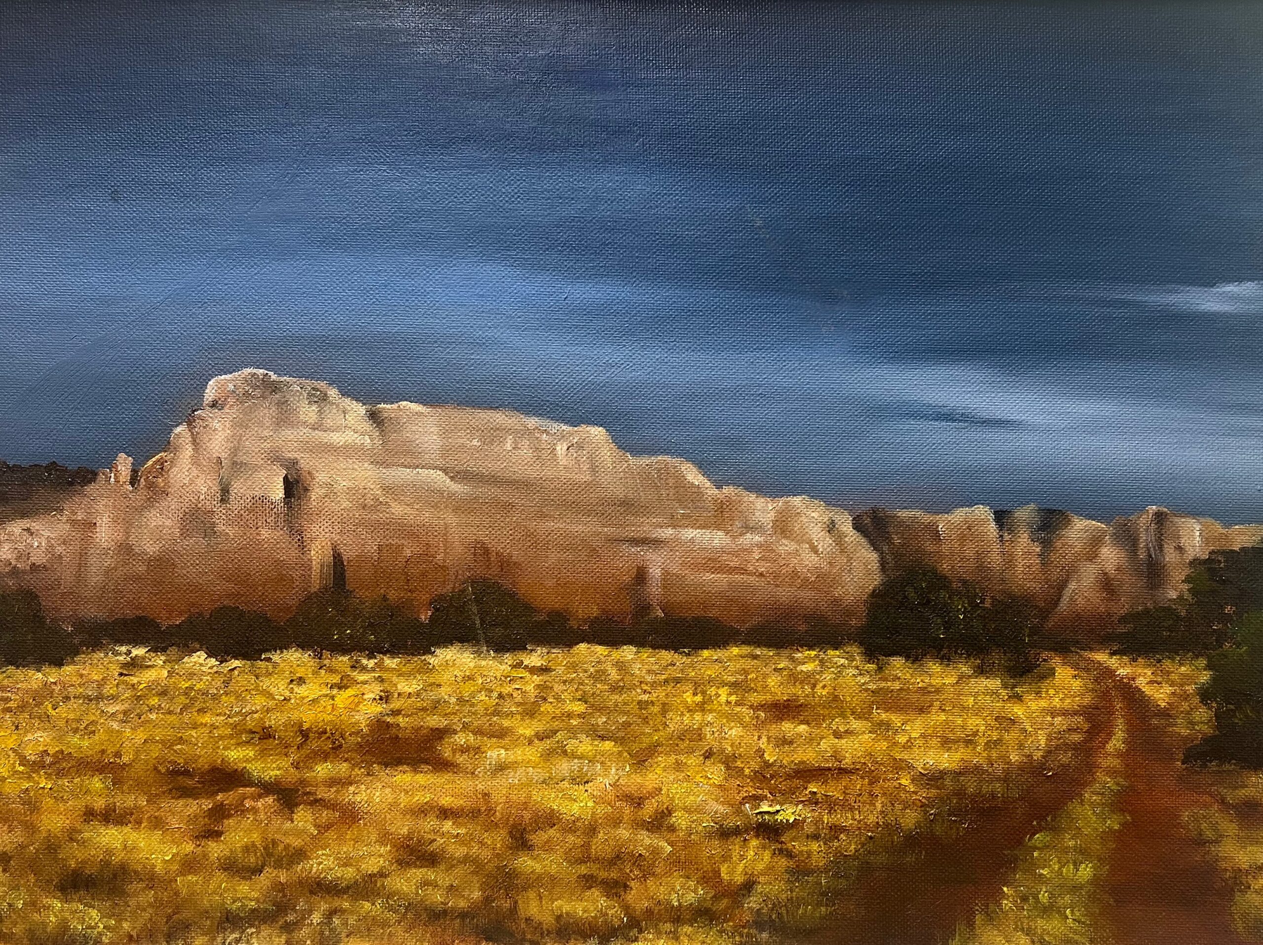 Freeform organic pottery