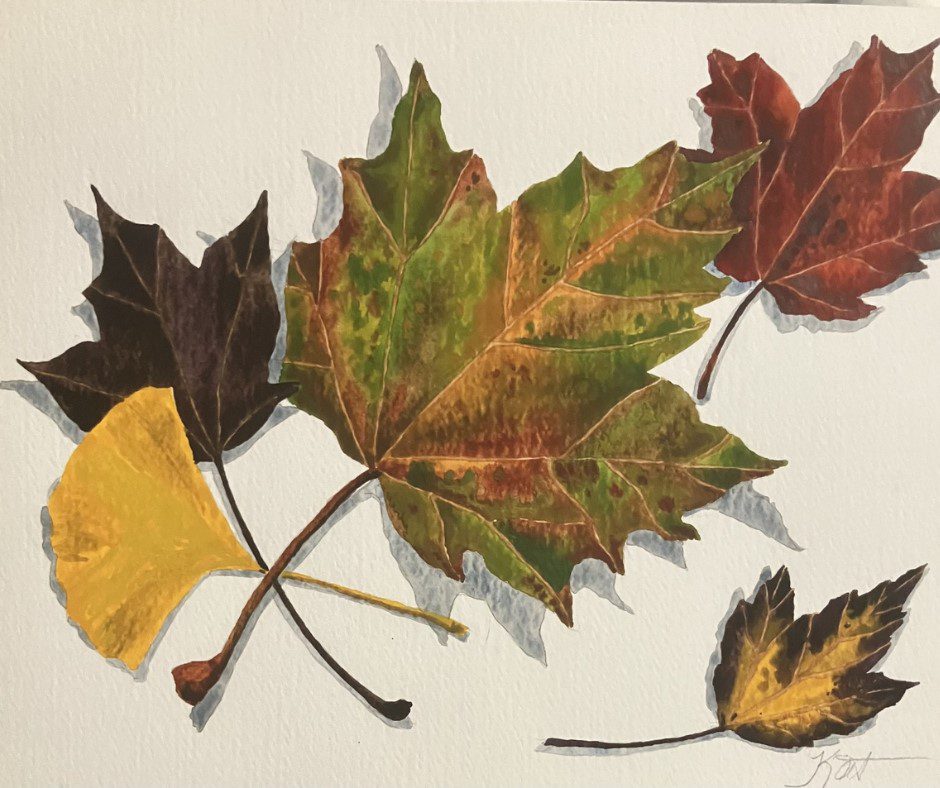 Michael A. Donato drawing