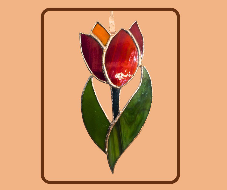 Tulip Flower